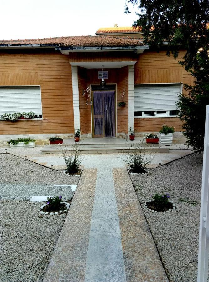 B&B Nonna Lilla Montesilvano Marina Екстериор снимка